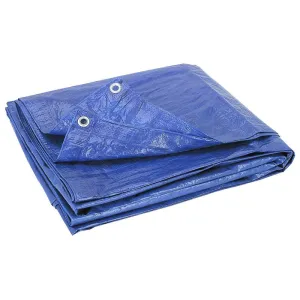 8' x 10' Blue Poly Tarps (5 mil)